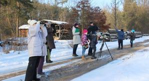 Wielkie liczenie ptaków