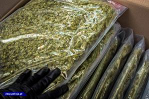 [VIDEO] Międzykontynentalna operacja z udziałem CBŚP i miejscowych służb w Belgii i Niemczech – uderzenie w zorganizowane gangi. Zatrzymano 30 osób: 22 Polaków, 5 Ukraińców, 2 Estończyków i Białorusina