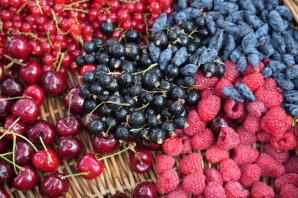 Piknik Poznaj Dobrą Żywność