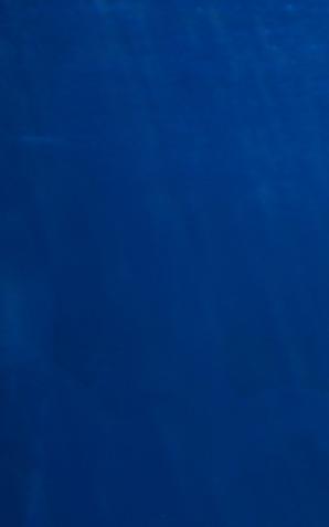 Nie będzie zgody dla komercyjnych delfinariów w Polsce