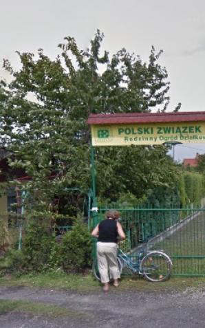 Święto Plonów… nie tylko w Knurowie!