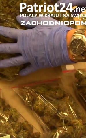 [VIDEO] 15 kg marihuany o wartości 600 tysięcy złotych przejęła Policja!