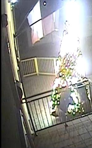 [VIDEO] Pożałują głupoty!