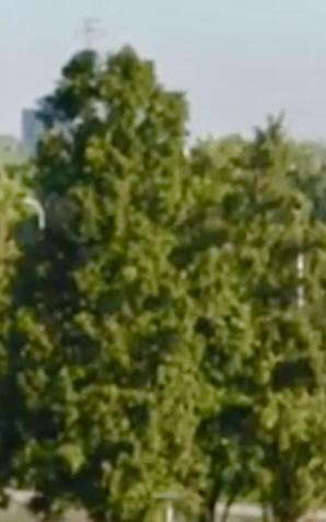 [VIDEO] Minister M. Błaszczak: linia obrony Polski jest i będzie na Bugu